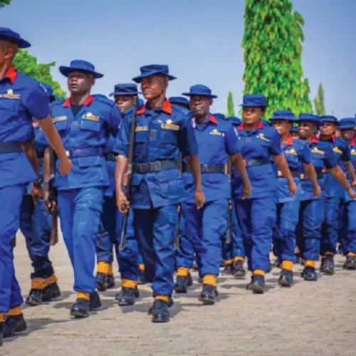 Read more about the article NSCDC, Immigration, Others: FG Postpones Recruitment, Changes Portal