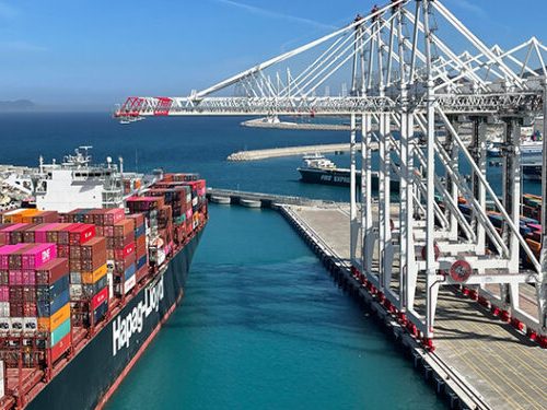 Read more about the article Tanger Med, Port Said Only African Ports Ranked Among Global Top 100 – Report