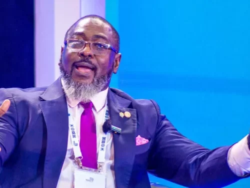 Read more about the article Tariff Relief Triggers $2 Billion Investment In Nigeria’s Digital Infrastructure – Tayo Aduloju