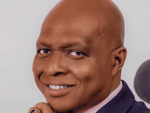 Read more about the article Sovereign Trust Insurance names Abimbola Oguntunde As Board Chairman, Highlights Industry Experience 