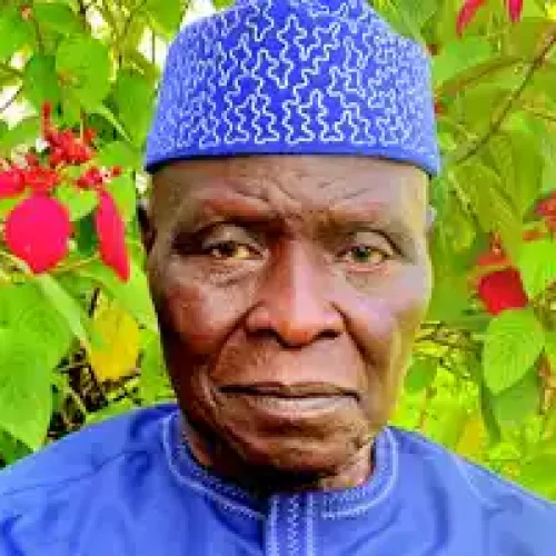 Cornelius Adebayo, Former Kwara State Governor, Dies At 84
