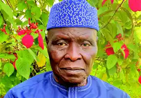 Read more about the article Cornelius Adebayo, Former Kwara State Governor, Dies At 84