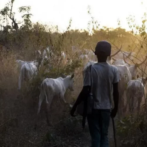 At Least 45 Killed In Central Nigeria Raid