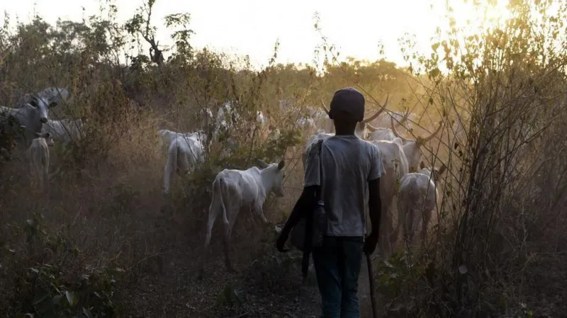 You are currently viewing At Least 45 Killed In Central Nigeria Raid
