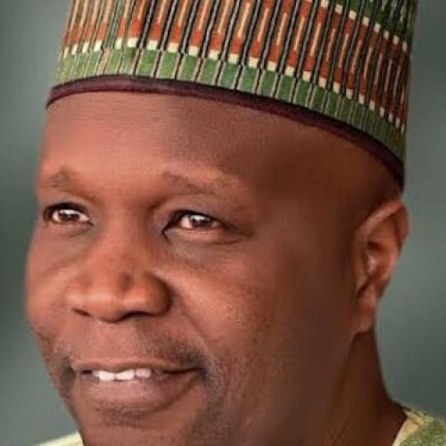 Gombe Receives N60 Billion From FG To Establish 184-Hectare Agro-Livestock Industrial Zone