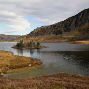 pexels roemag 29859932 1080x720.jpg