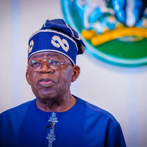 Read more about the article President Tinubu Appoints Governing Council And Principal Officers Of Federal University In Ogoniland