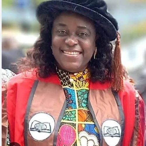 Read more about the article Ajayi Crowther University Appoints Professor Ebunoluwa Oduwole As F𝐢𝐫𝐬𝐭 F𝐞𝐦𝐚𝐥𝐞 V𝐢𝐜𝐞-𝐜𝐡𝐚𝐧𝐜𝐞𝐥𝐥𝐨𝐫