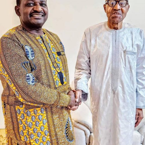 Read more about the article Buhari’s Shocker: “I Look Forward To Leaving, And When It’s Time, I Go To My Grave”, By Femi Adesina..