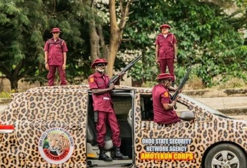 Read more about the article UN Declares ‘World Amotekun Day’, Acknowledges Role In Regional Security