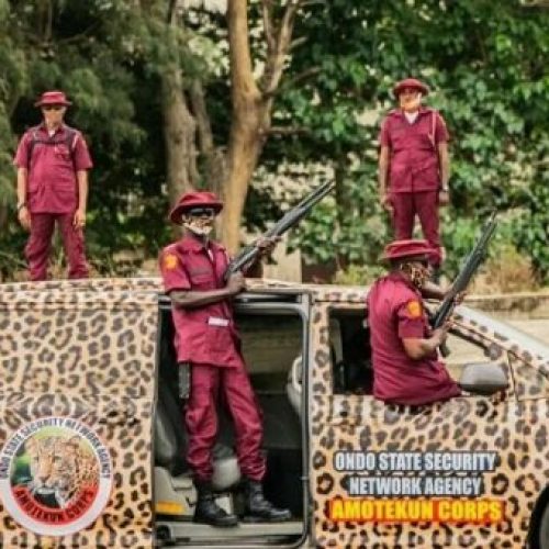 UN Declares ‘World Amotekun Day’, Acknowledges Role In Regional Security