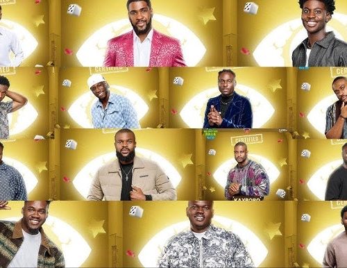 Read more about the article BBNaija: Meet 14 Male Housemates For Season 10