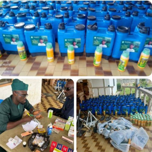Read more about the article Over 100 Farmers Empowered, Other Ileoluji/Okeigbo Residents Benefit From Free medical Outreach Of Akin Akintayo Foundation
