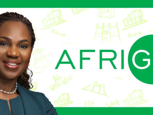 Read more about the article AfriGO, Nigeria’s Domestic Card Scheme Gains Momentum In Financial Inclusion  