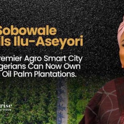 Sola Sobowale Unveils Ilu Aseyori, Africa’s Premier Agro Smart City, where Nigerians Can Now Own Profitable Oil Palm Plantations 