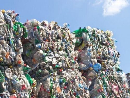 Read more about the article From Trash To Millions: How Plastic Waste Collectors In Nigeria Are Cashing In 
