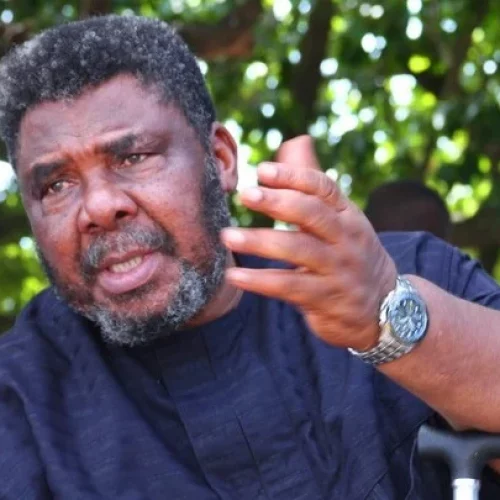 Pete Edochie: Why Igbo Men Aren’t Suited For Politics