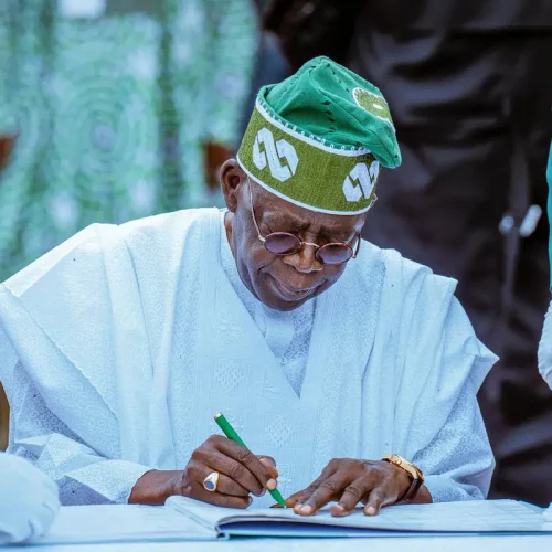 Read more about the article Tinubu Sacks Top Govt Official, Appoints Replacement