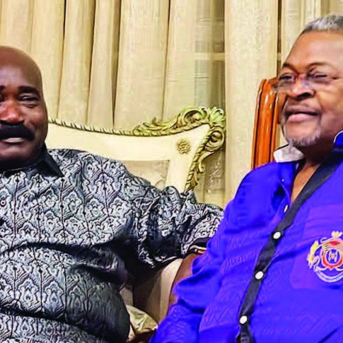 Read more about the article Mike Adenuga: The Bull Is Moving Differently