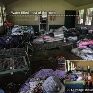 b2e221c7 5817 4b81 bbbe 041e99b26a92.png