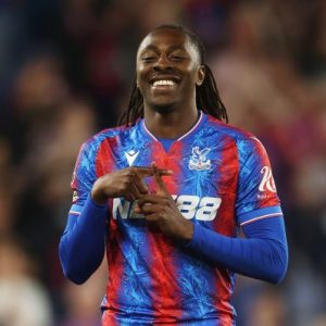 crystal palace fc v wolverhampton wanderers fc premier league 1 585x398 1