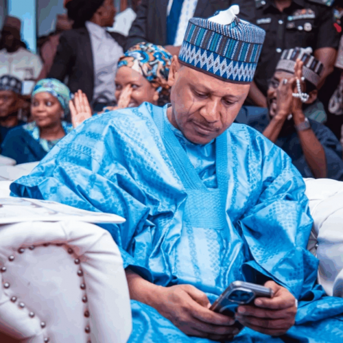 Read more about the article Tinubu Has Fulfilled His Promises To North – Idris