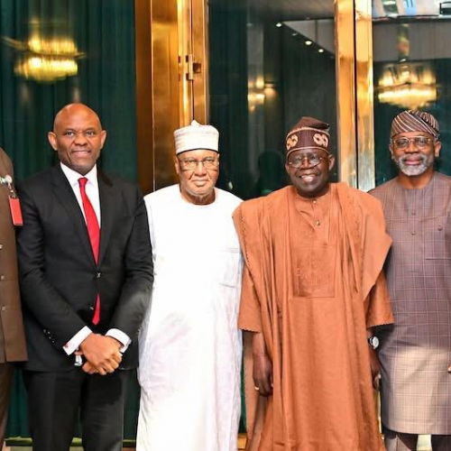 Read more about the article Tinubu Pledges To Settle Debt Claims At Meeeting With CEOs Of Power Generating Companies