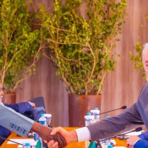 President Tinubu To Remove Bottlenecks Hindering Livestock Production Export Between Nigeria And Brazil  