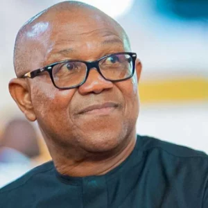 peter obi 402x340 1