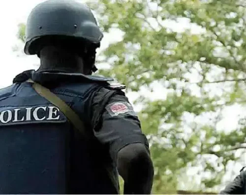 Read more about the article Police Detectives In Ondo Arrest Notorious Cultists