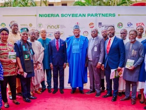 Read more about the article FG Unveils Soybean Expansion Policy, Targets N3.9 Trillion Revenue And One Million Jobs