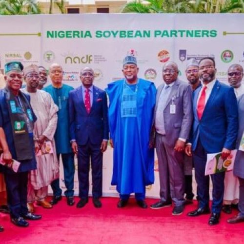 FG Unveils Soybean Expansion Policy, Targets N3.9 Trillion Revenue And One Million Jobs