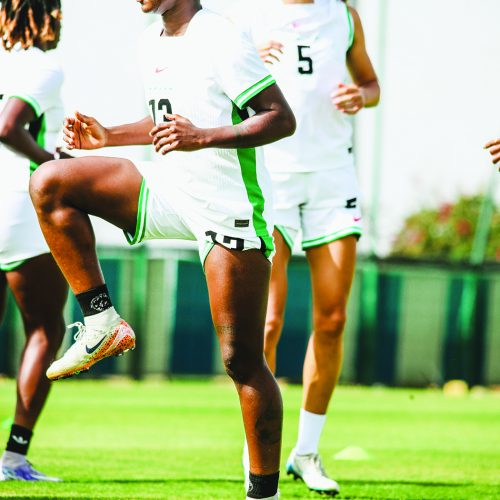 Read more about the article Super Falcons To Use Algeria To Prepare For WAFCON Q’final