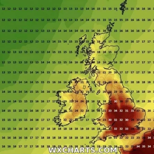 Read more about the article UK Heatwave As Temperatures Forecast To Soar To 37C