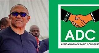 Read more about the article JUST IN: Peter Obi Dumps LP, Urges Obidients To Back ADC In By-Elections