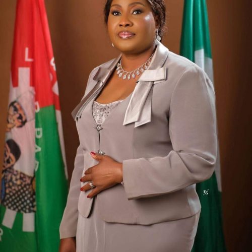 Read more about the article Reflections On The Labour Party’s Challenges: A Call For Peter Obi To Pause And Ponder
