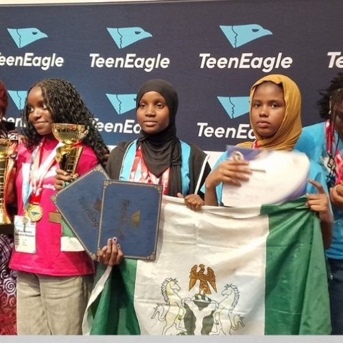 Read more about the article 17-Year-Old Nigerian Student Tops UK English Contest, Beats 69 Countries