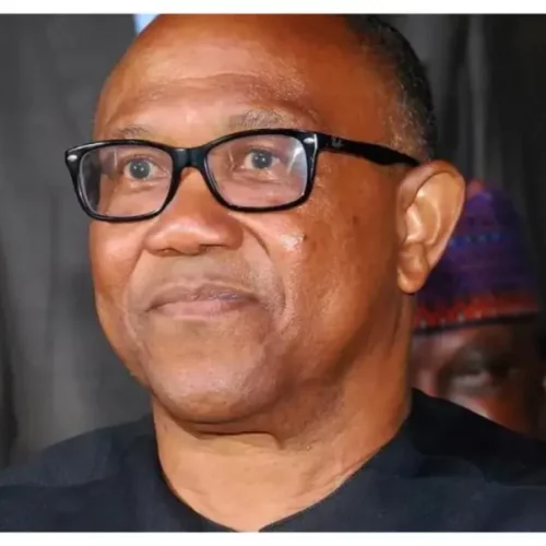 Presidency Accuses Peter Obi Of Falsehood