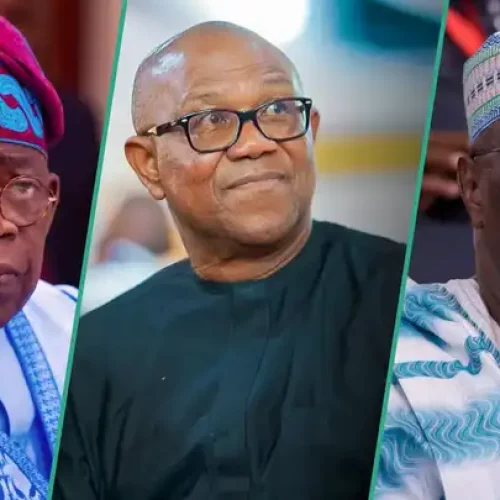 ‘Atiku, Obi, Others Interested in Campaign to Overthrow Tinubu,’ Onanuga Alleges