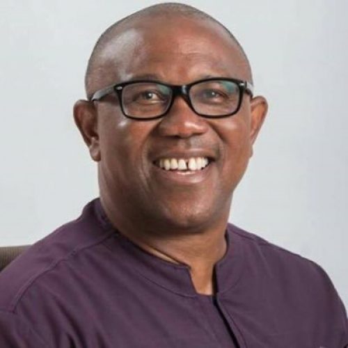 Rethinking “We No Dey Give Shishi” – The Cost of Politics, By Olugbenga Adebamiwa