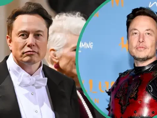 Read more about the article Is Elon Musk Married? Unpacking His Marriages And Relationships