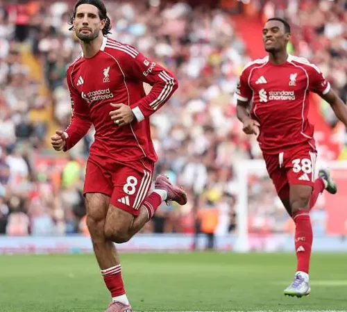 Read more about the article Premier League Scores & Fixtures