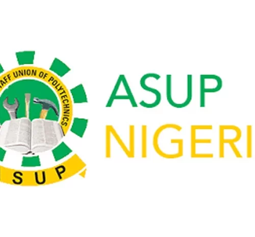 Read more about the article Strike: Polytechnic Lecturers Give Nigerian Govt 21-day Ultimatum