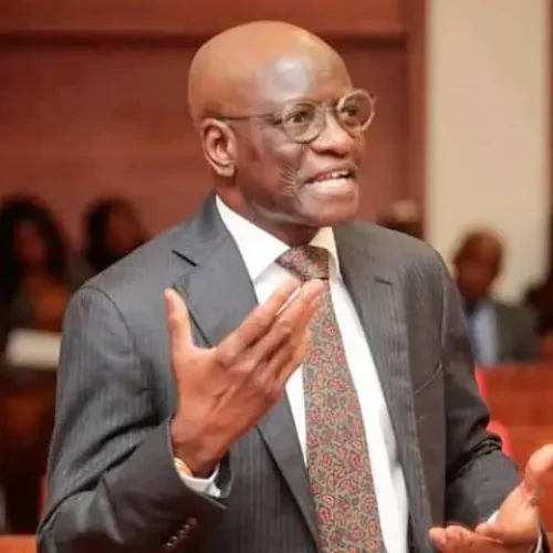 He Mercilessly Destroyed The Bumbling Coalition – Presidency Hails Sen Wadada Over Viral Video