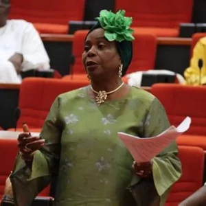 Biodun Olujimi former deputy governor of Ekiti state