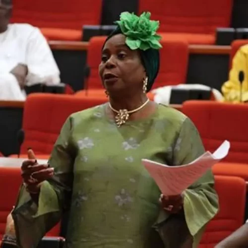 Read more about the article Biodun Olujimi: Peter Obi’s Rhetoric Won’t Stop Tinubu In 2027