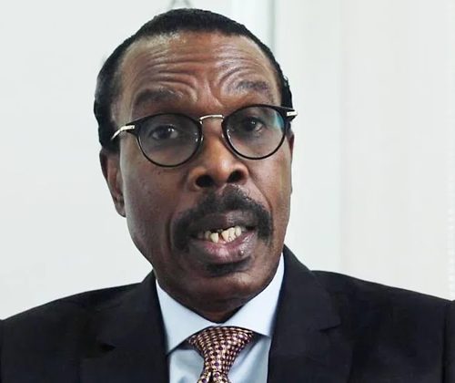 Read more about the article Only Five Airlines Control 75% Of Air Traffic In Nigeria – Rewane