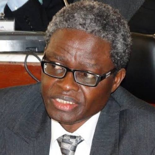 Strategic Autonomy From An Individual Perspective: The Case Of Julius Adelusi-Adeluyi @ 85+, By Prof Bola Akinterinwa