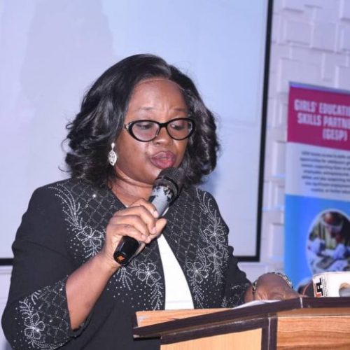 Read more about the article YABATECH Wins €117,000 EU Grant for Aquaponics Research
