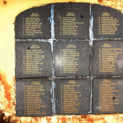 Read more about the article ’20 Years After,’ Bush, Reptiles Take Over 117 Bellview Airline Crash Victims’ Grave